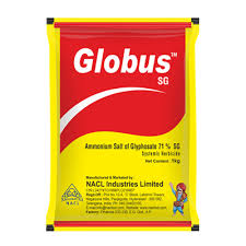 GLOBUS SG