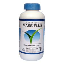 MASS PLUS