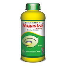 NAGASTRA