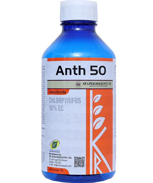 Anth 50