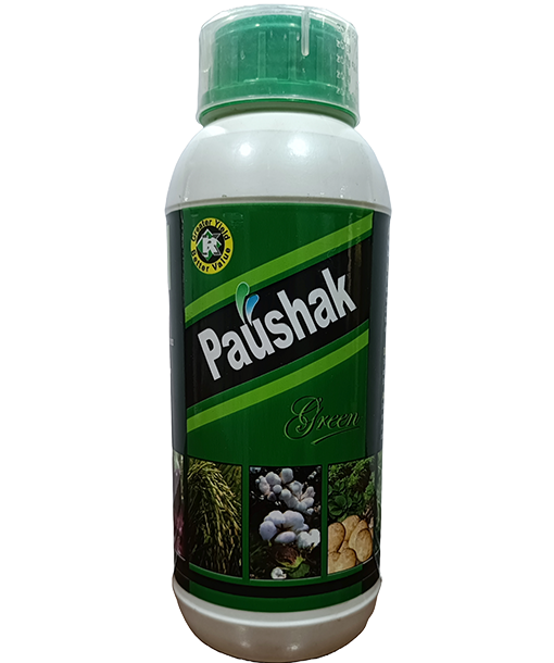 Paushak Green