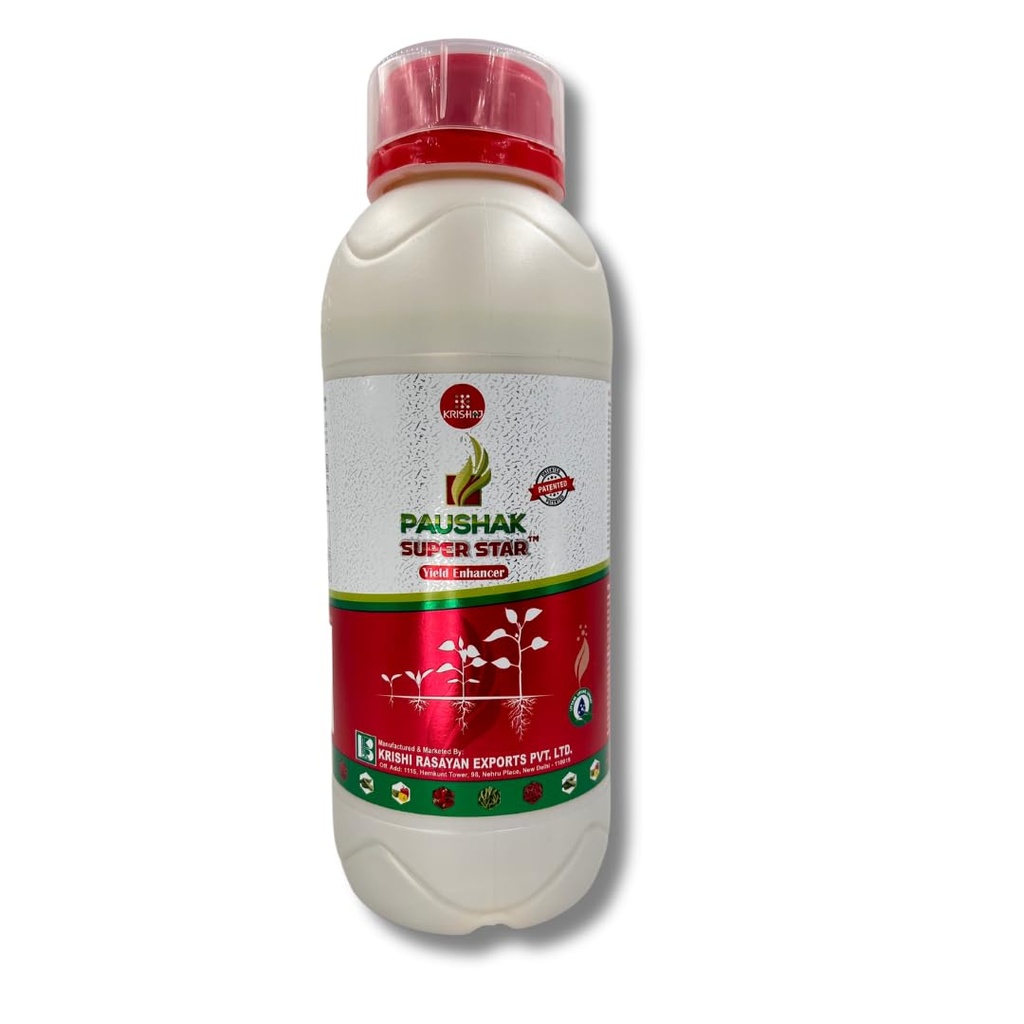Paushak Super Star