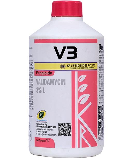 V3