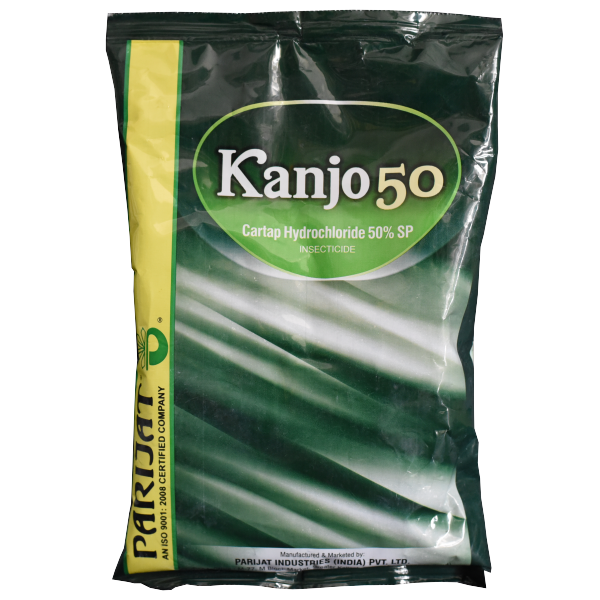 Kanjo SP
