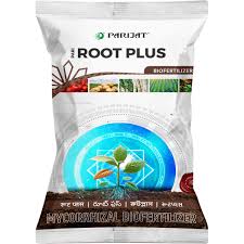 Root Plus