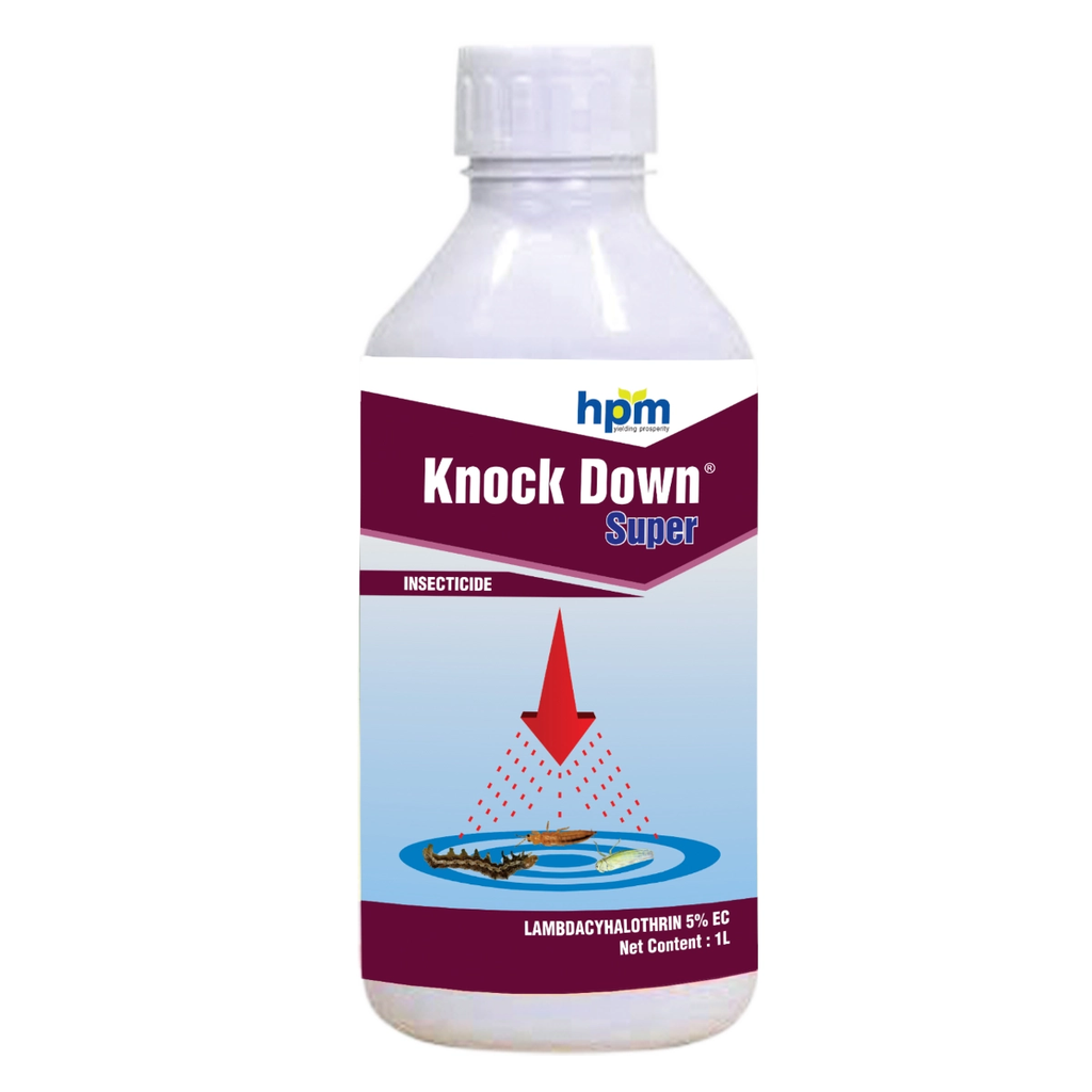 KNOCK DOWN SUPER