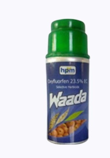 WAADA
