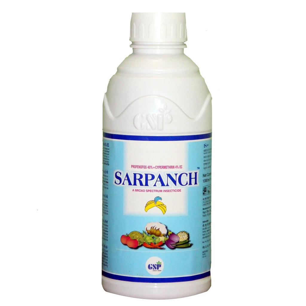 SARPANCH