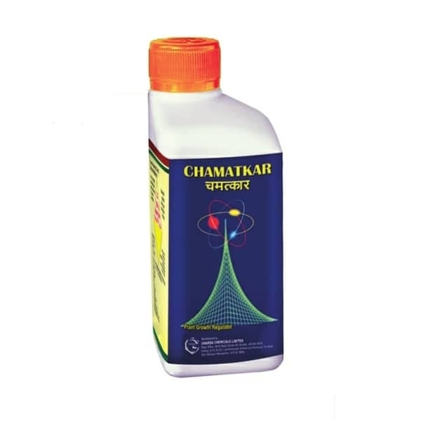 CHAMATKAR