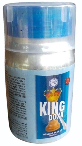 King Doxa