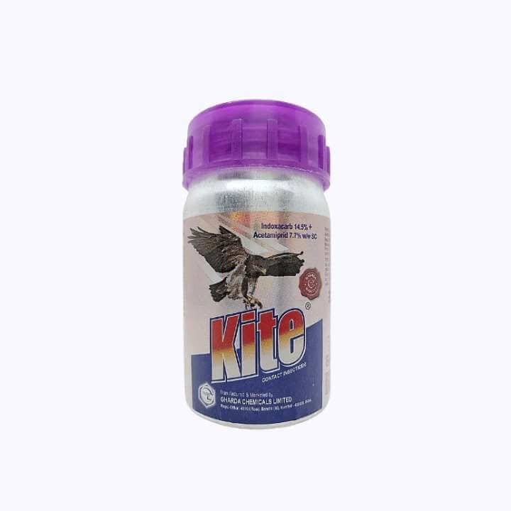 KITE