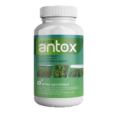 ANTOX