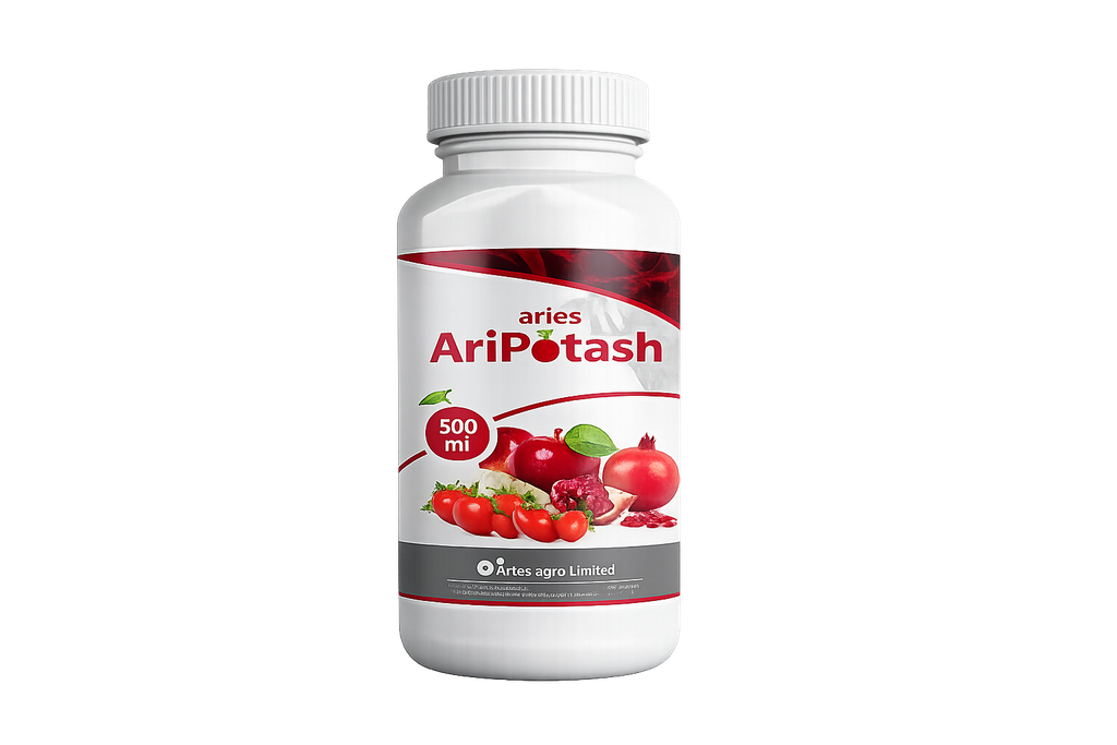 ARI POTASH