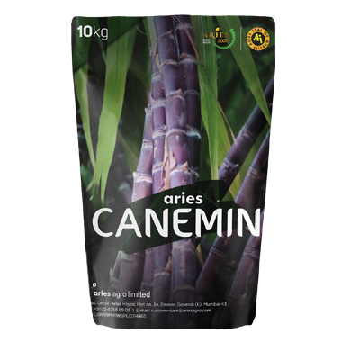 CANEMIN