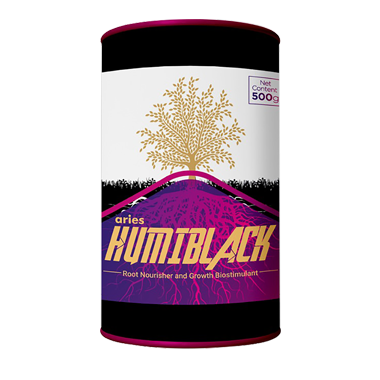 HUMIBLACK