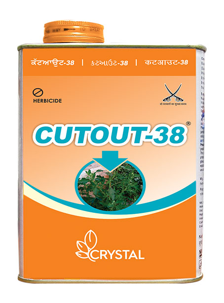 CUTOUT-38