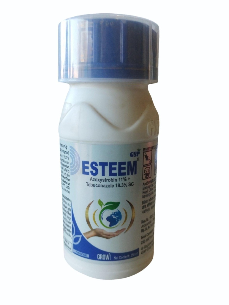 ESTEEM