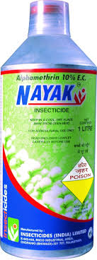 NAYAK