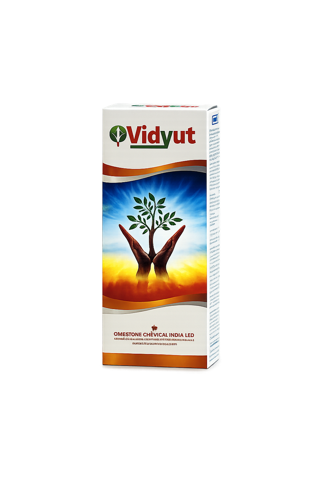 VIDYUT
