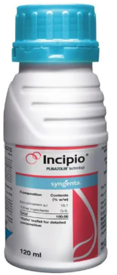 INCIPIO