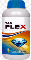 TAG FLEX