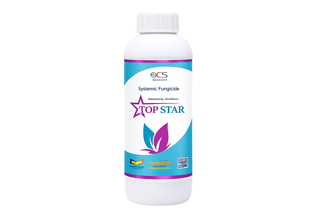 TOP STAR
