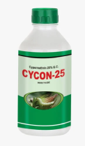 CYCLONE - 25