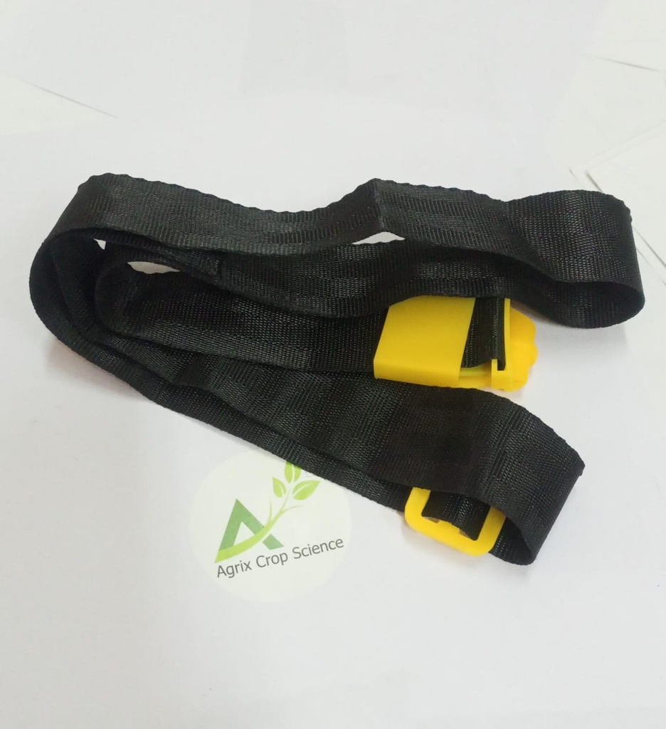 NORMAL BELT