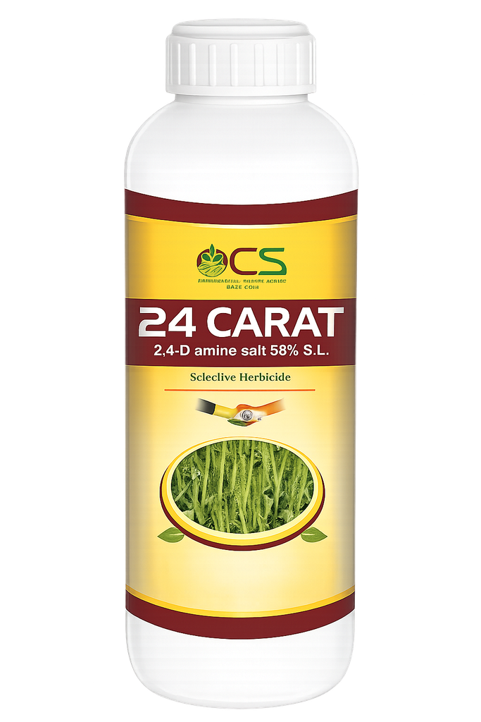 24 CARAT