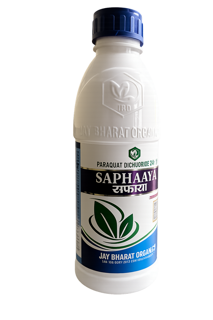SAPHAAYA
