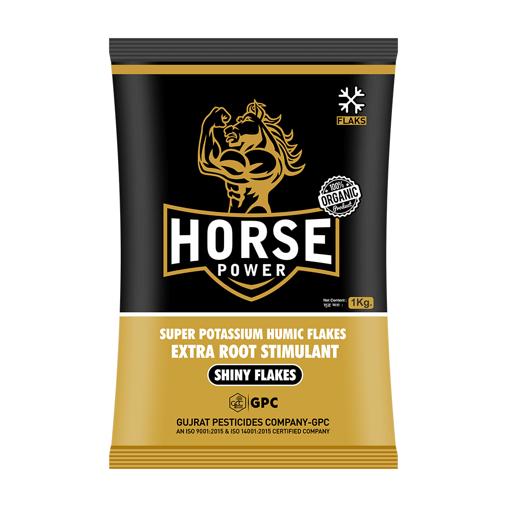 HORSE POWER