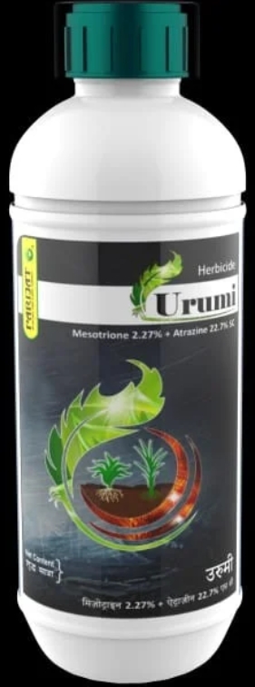 URUMI