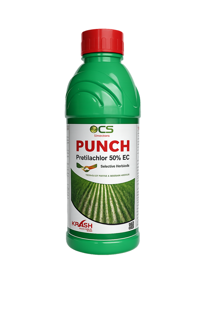 PUNCH