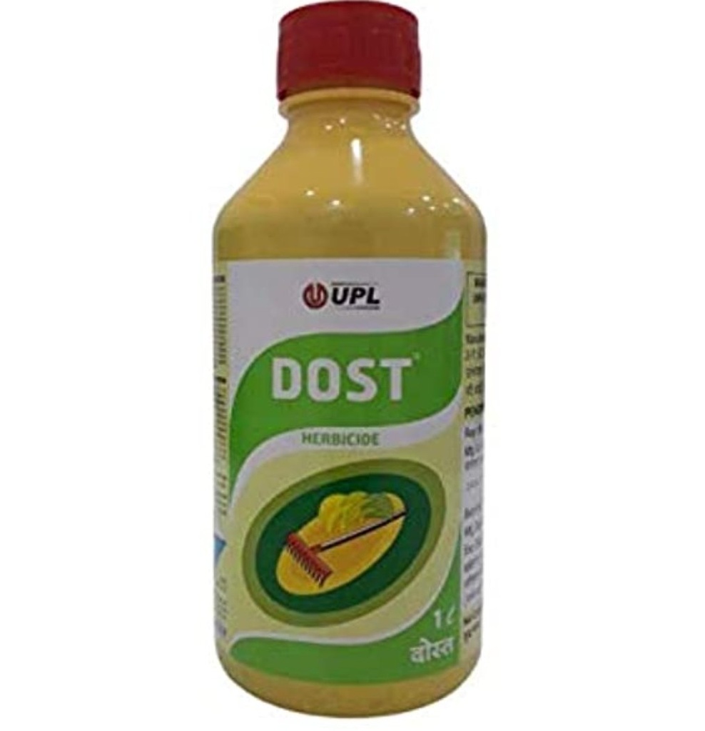 DOST