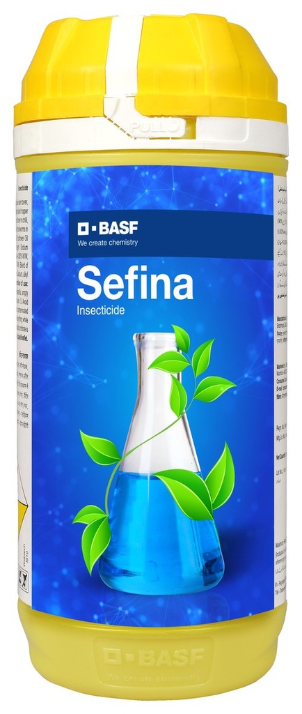 SEFINA