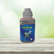KEEFUN
