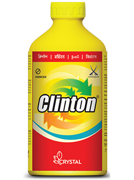 CLINTON