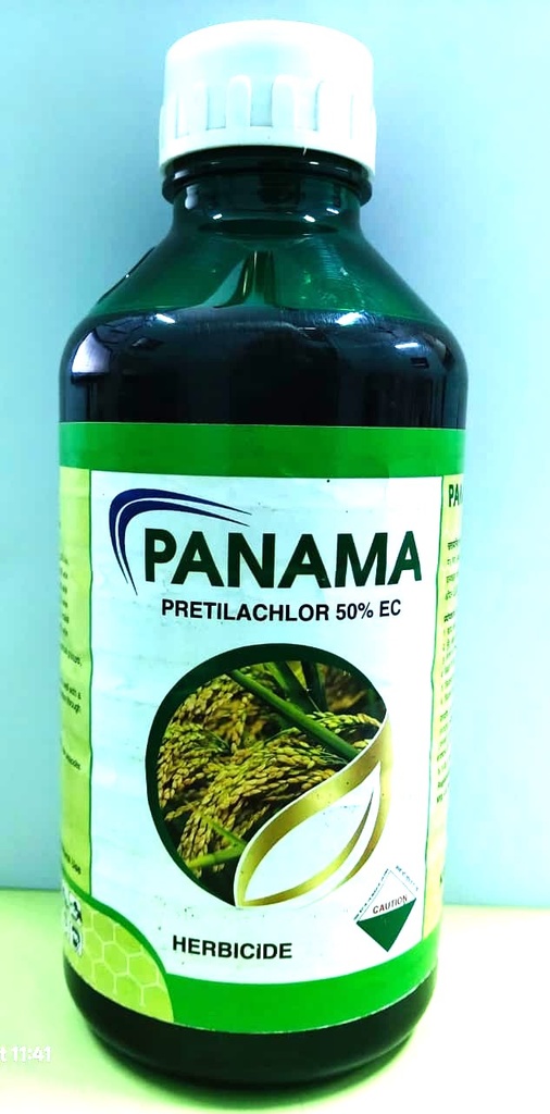 PANAMA