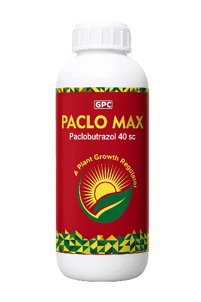 PACLOMAXX