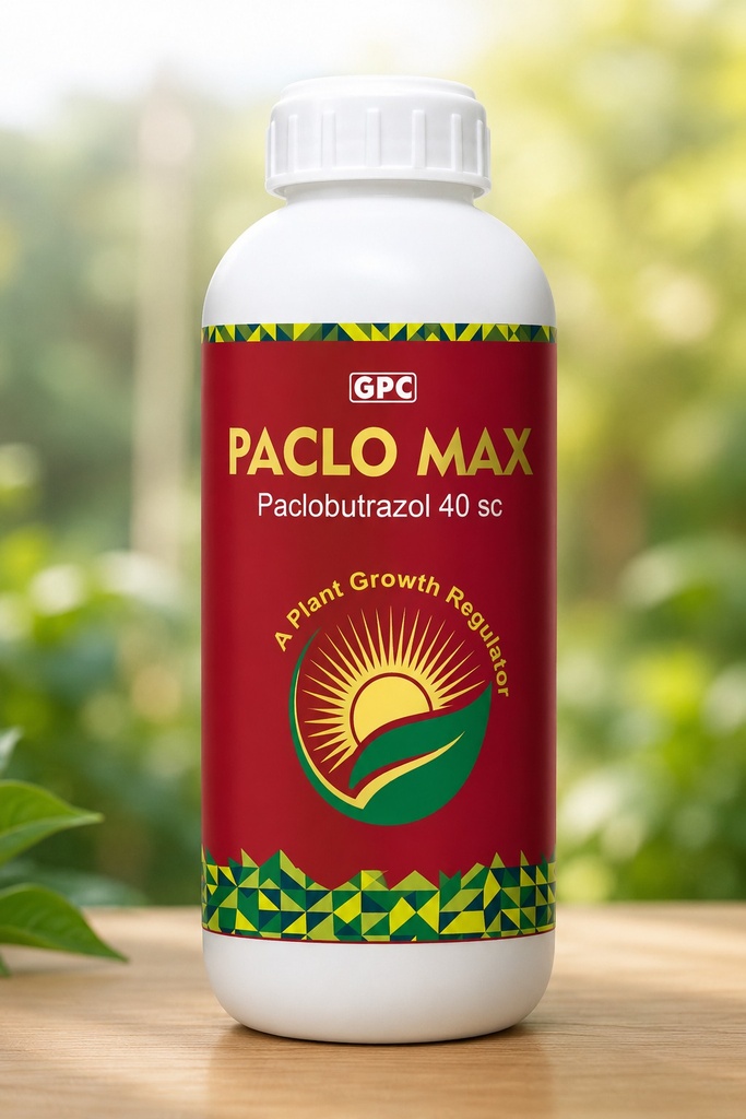 PACLOMAXX