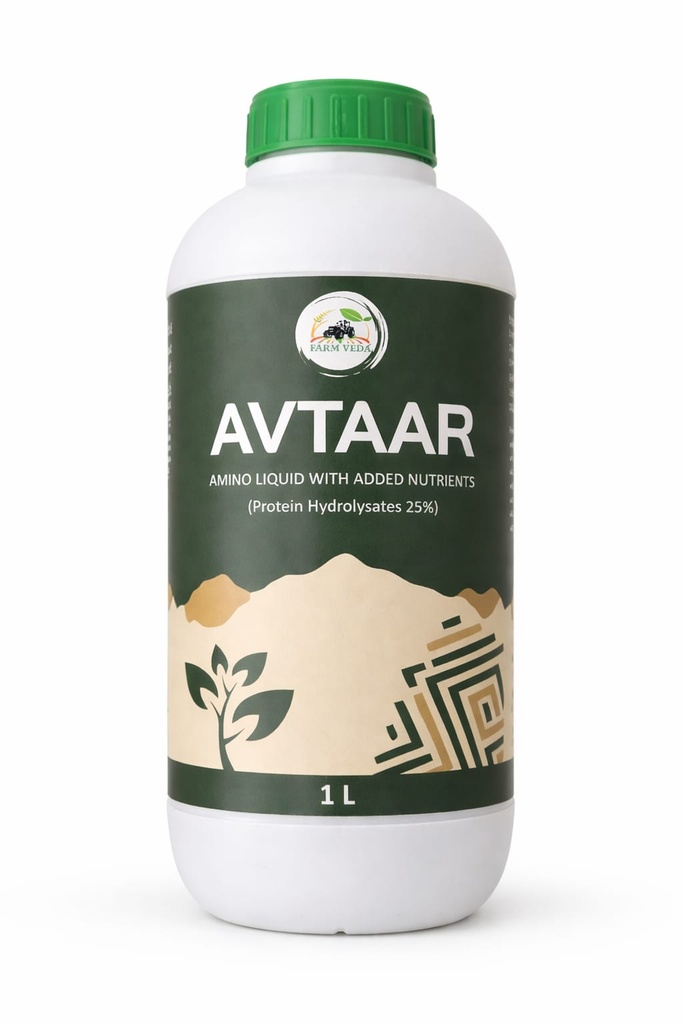 FV AVTAAR
