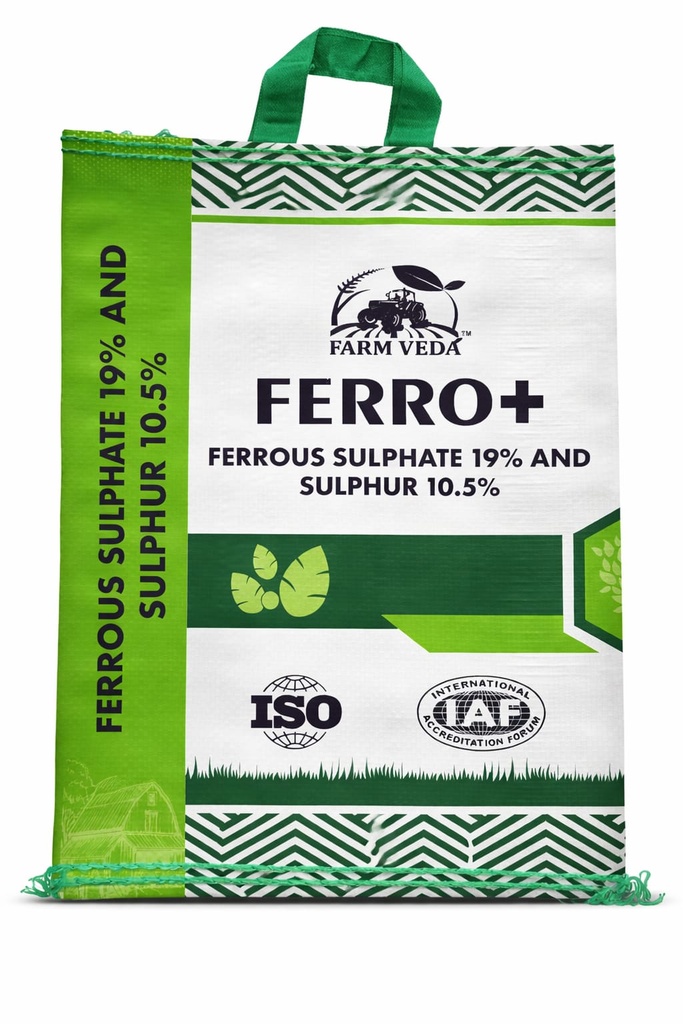 FV FERRO +