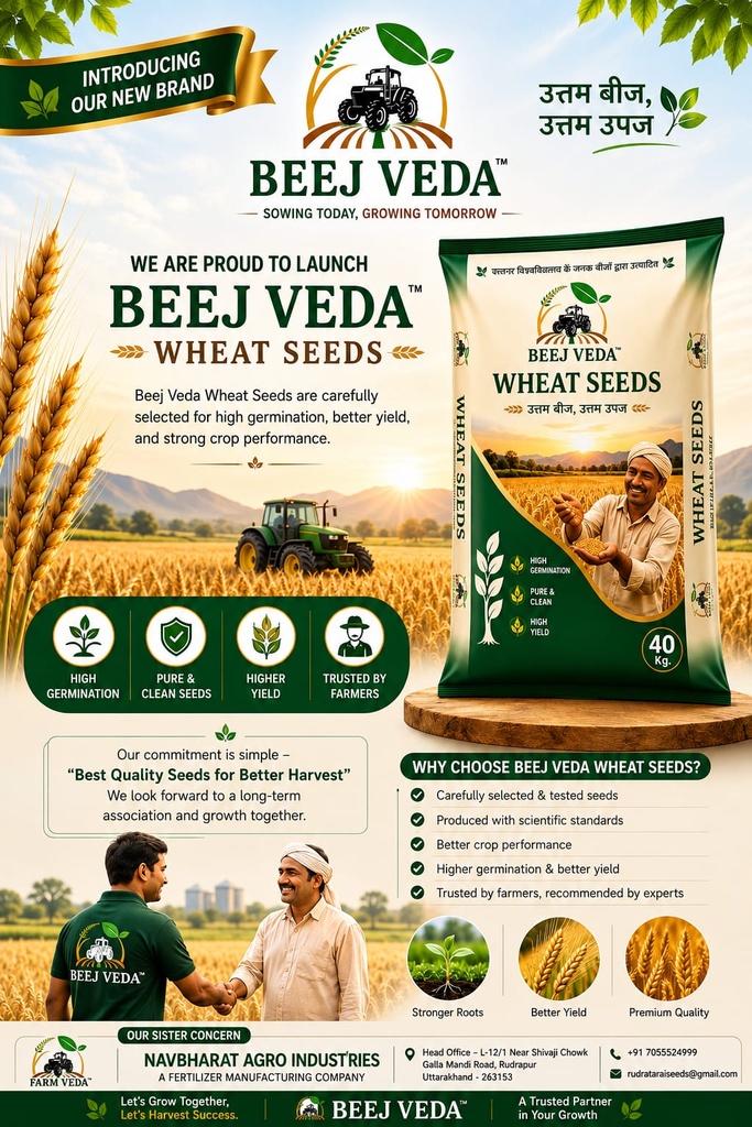 WHEAT SEED