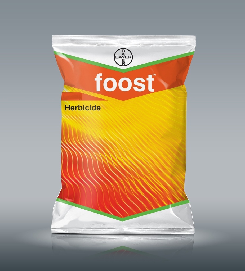 FOOST