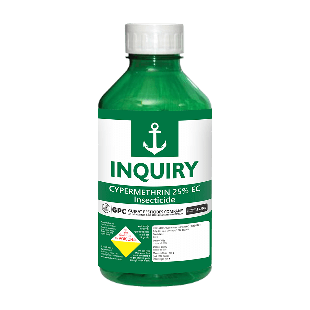 INQUIRY