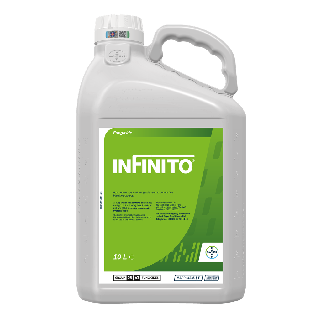 INFINITO