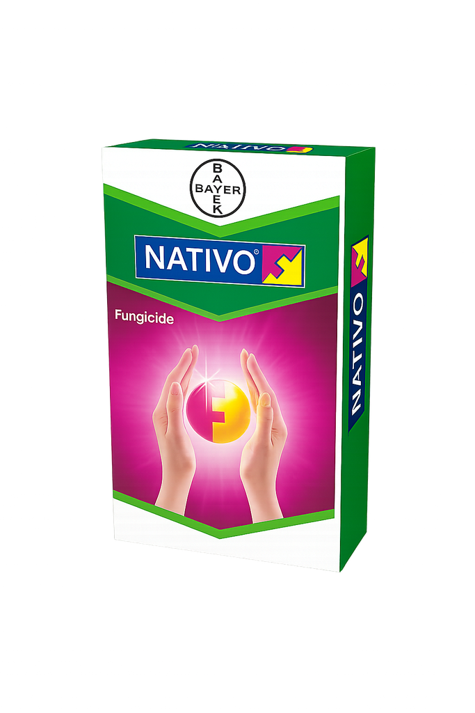 NATIVO