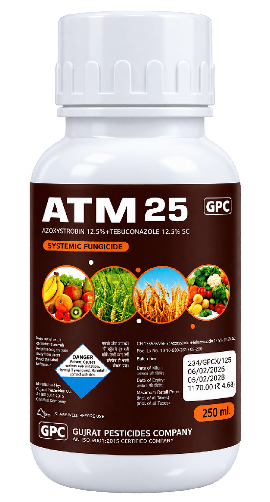 ATM-25