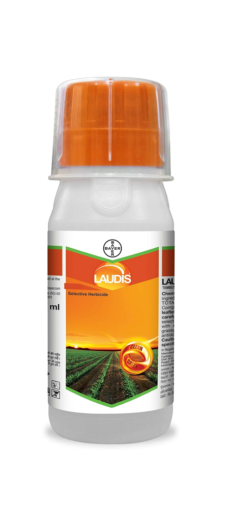 LAUDIS