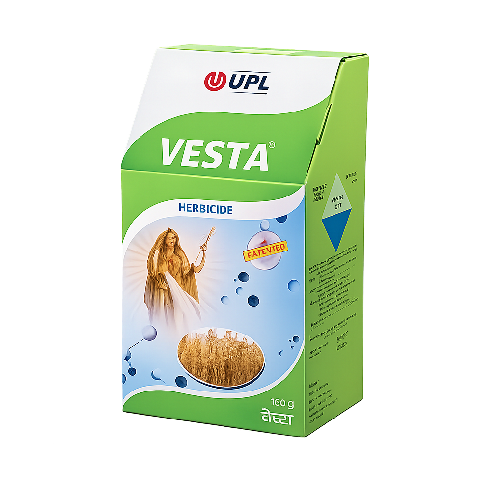 VESTA